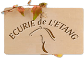 LES ECURIES DE L'ETANG Souzy-la-Briche